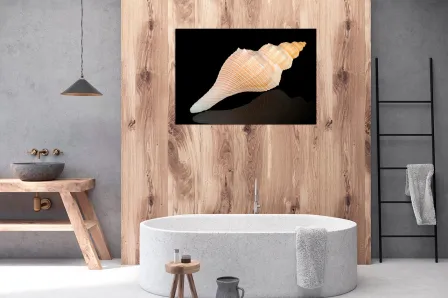 Pintura de concha