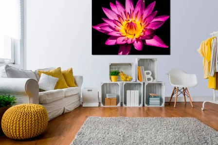 Pintura de flor de nenúfar