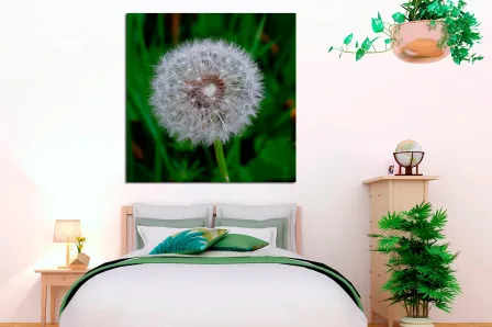 Pintura de flor dente de leão