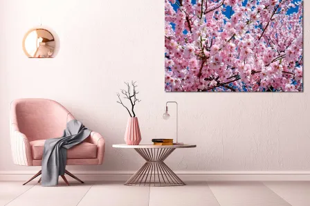 Pintura de flor de cerejeira
