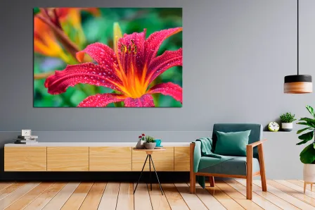 Pintura de lírio