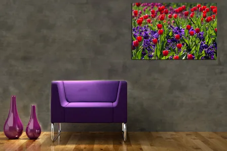 Pintura de campo de papoula