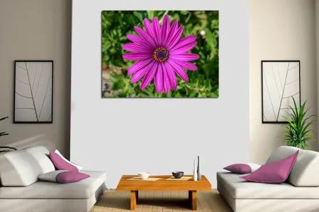 Pintura de margarida roxa