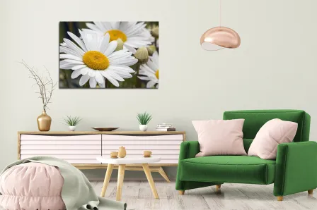 Pintura de margaridas