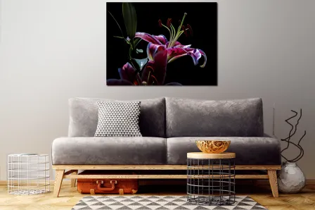 Orquídea pintando fundo preto