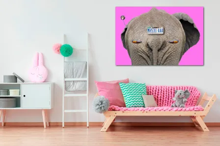 Elefante com matrícula