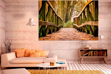Caminho da imagem na floresta
