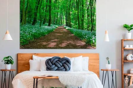 Caminho da imagem na floresta